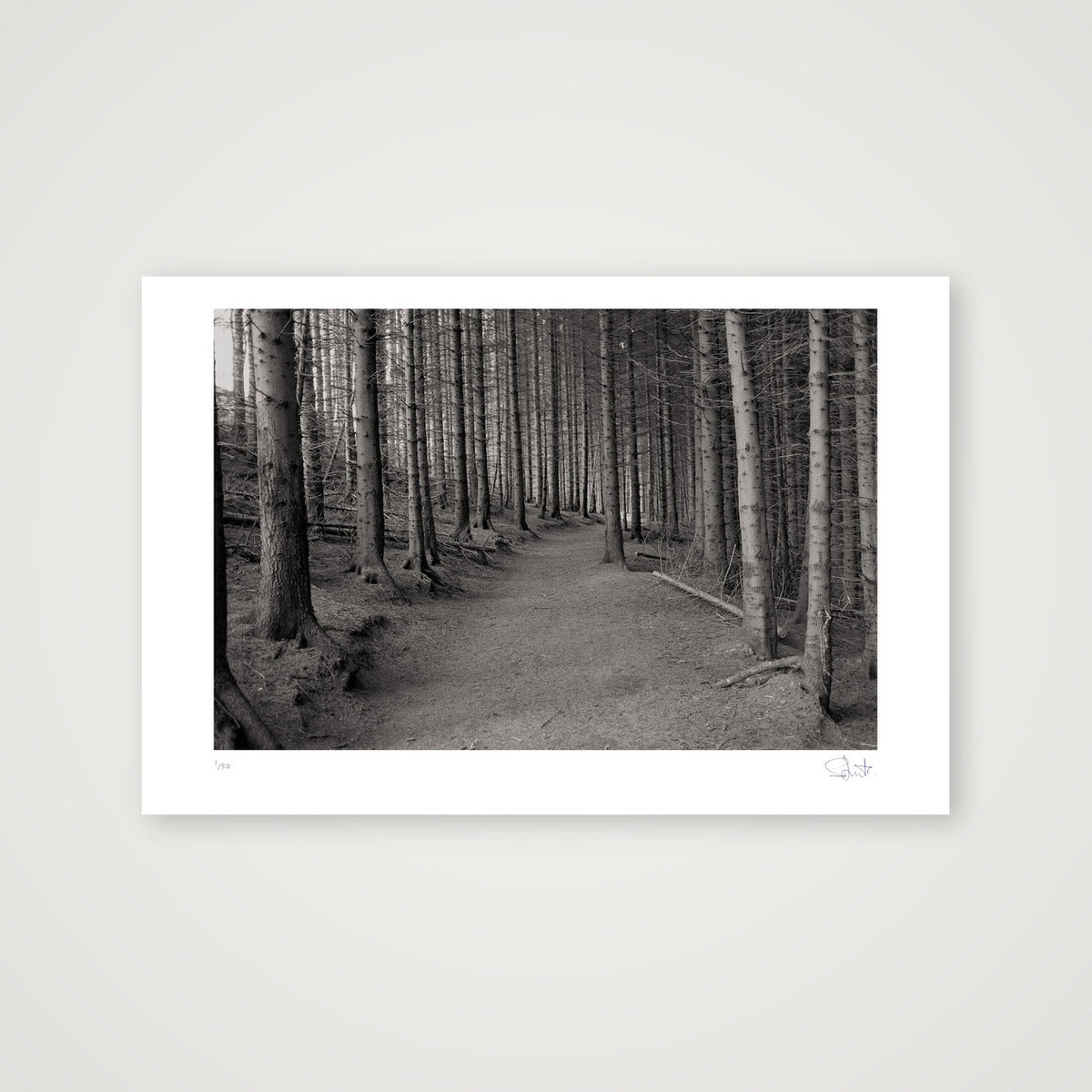 Woods. Yorkshire, 2020 — 45×30cm, 18×12" Print only