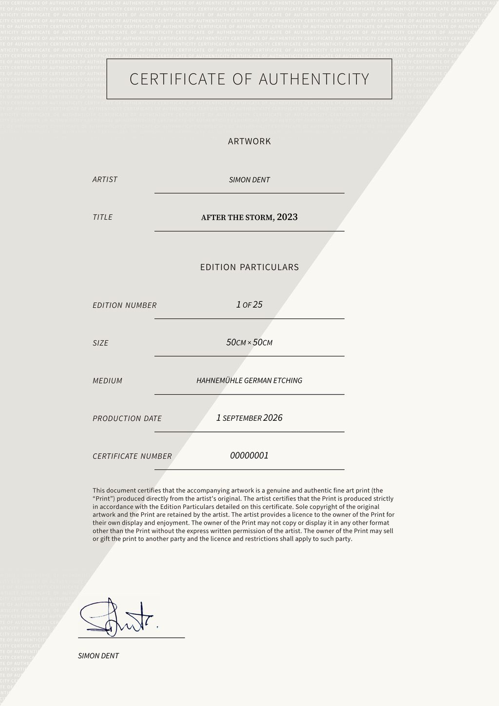 After the storm, 2023 — Certificate of Authenticity