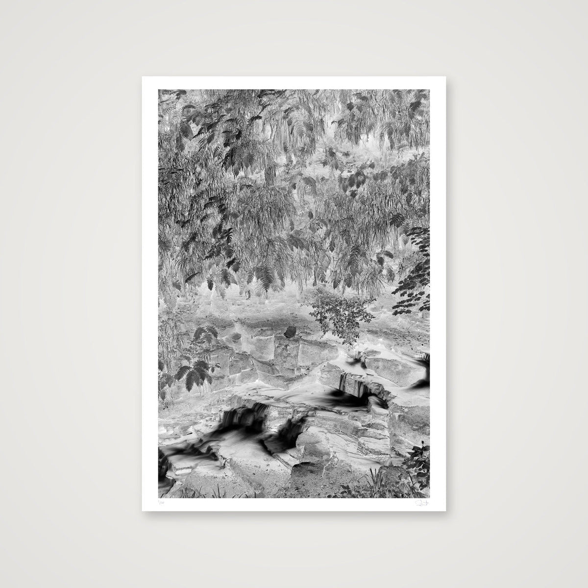 Colden Beck negative — 70×100cm, 28×39" Print only
