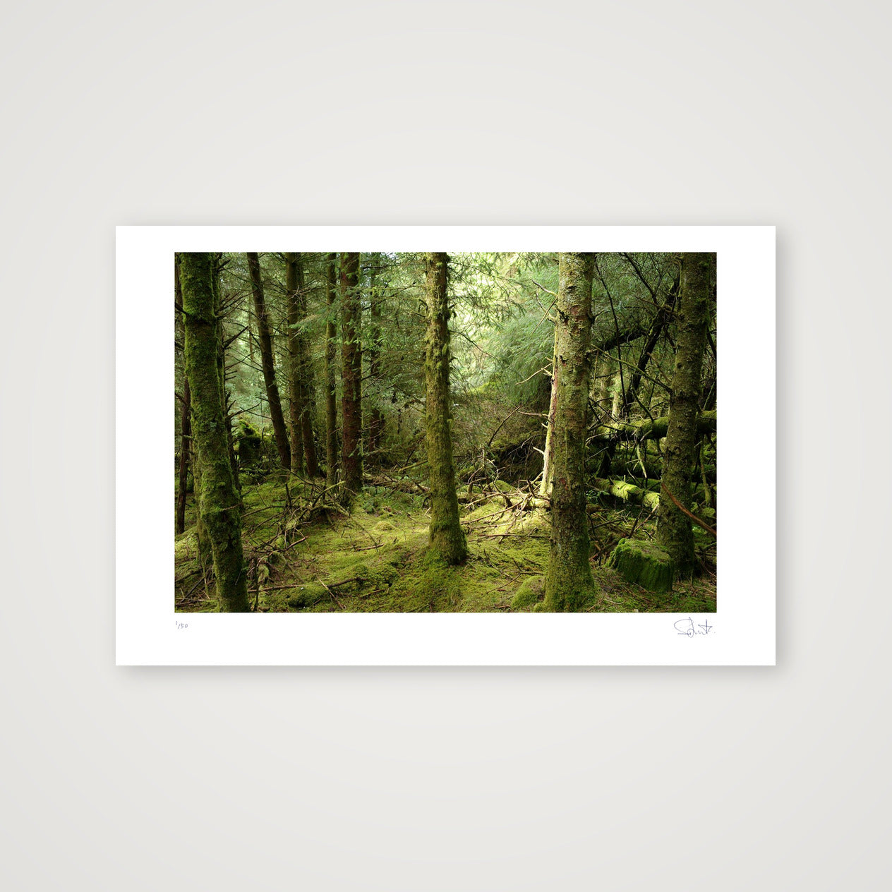 Inverary. 2018 — 45×30cm, 18×12" Print only