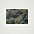 Steps. Yorkshire, 2020 — A4 (30×21cm, 12×8") Print only