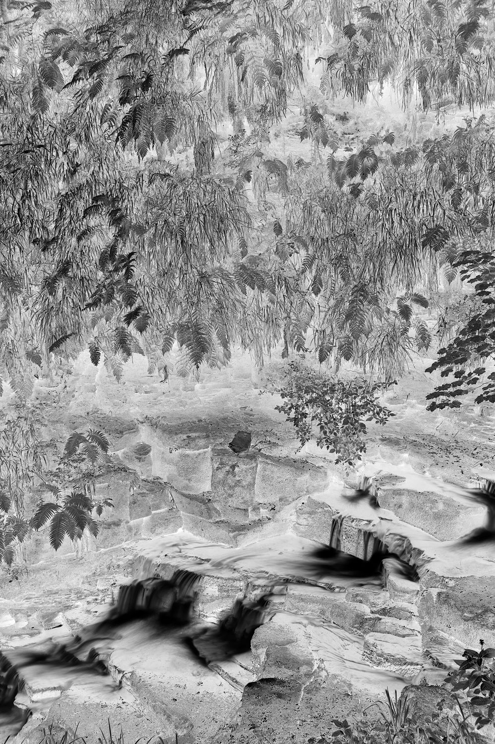 Colden Beck negative