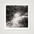 After the storm, 2023 — 30×30cm, 12×12" Print only