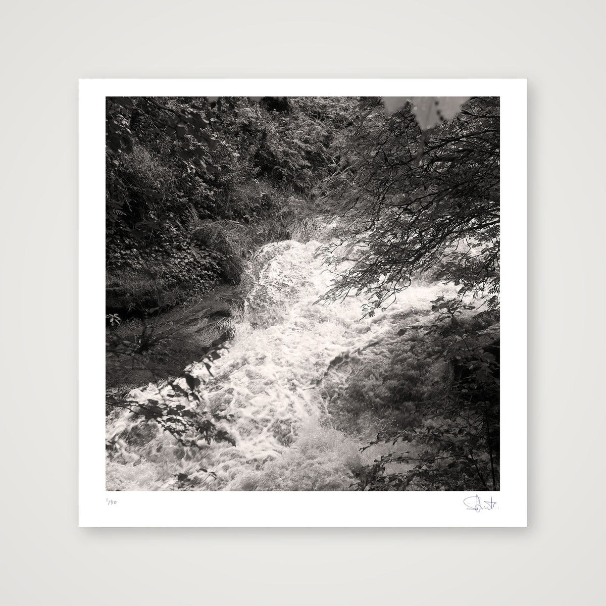 After the storm, 2023 — 40×40cm, 16×16" Print only