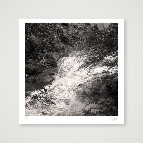 After the storm, 2023 — 40×40cm, 16×16" Print only