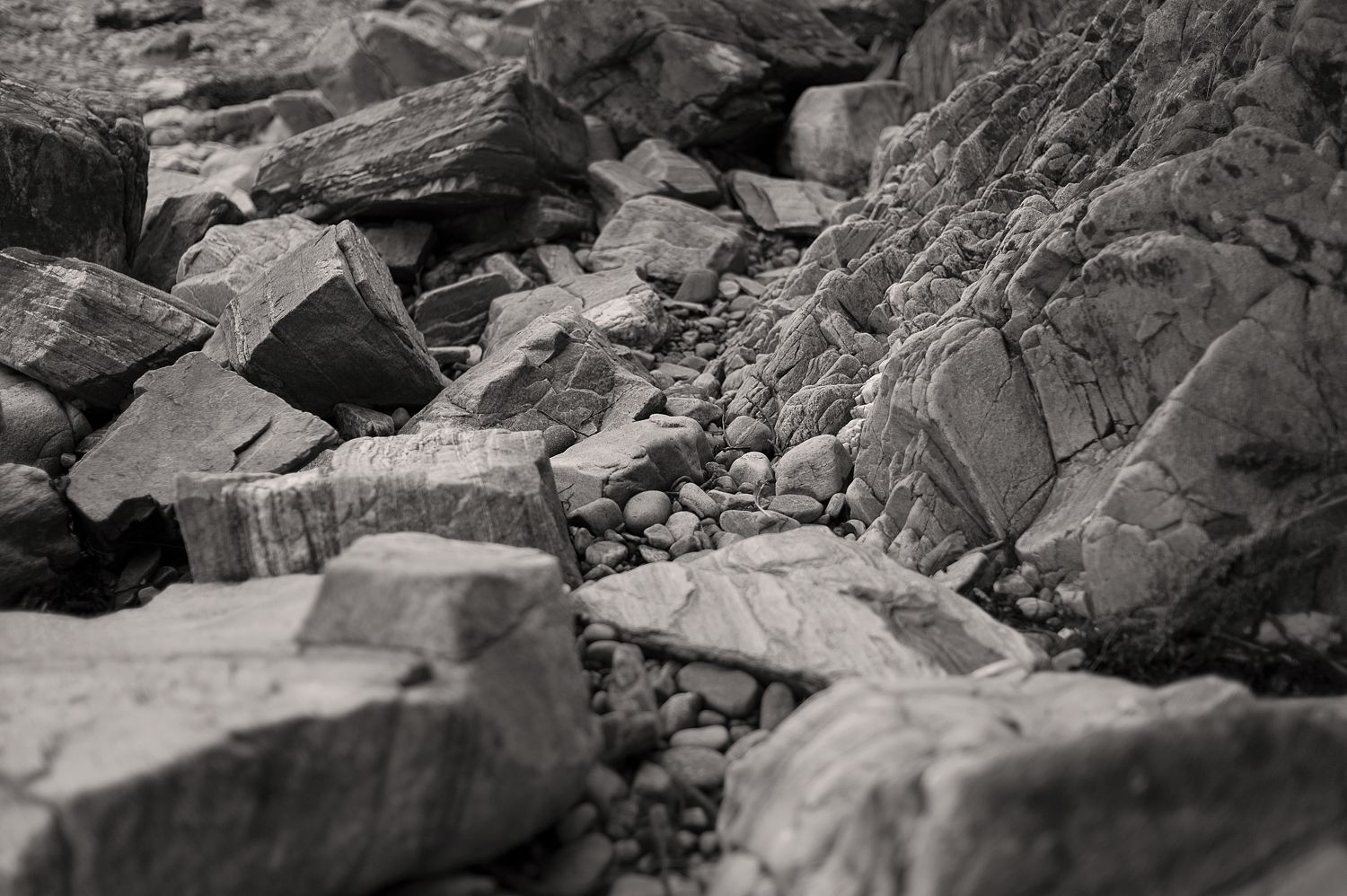 Trail, Corran 2019