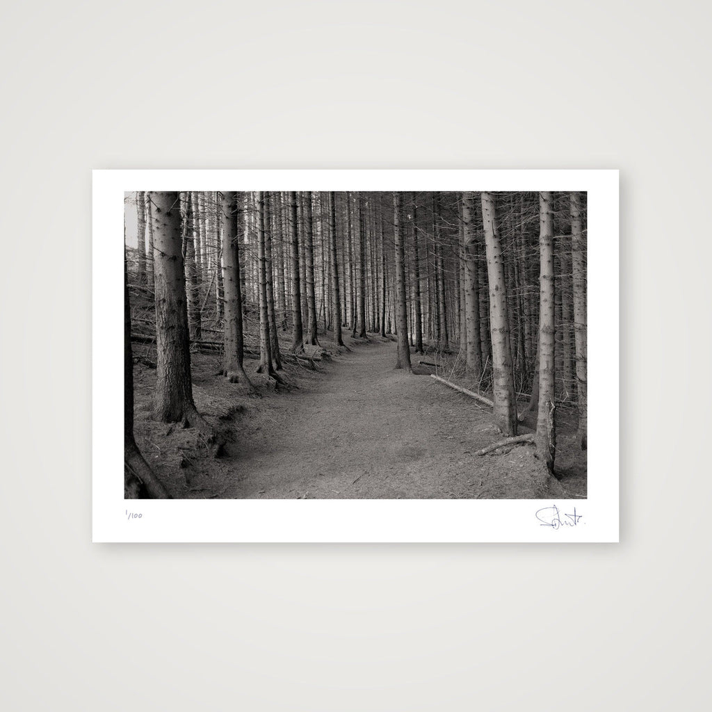 Woods. Yorkshire, 2020 — A4 (30×21cm, 12×8") Print only