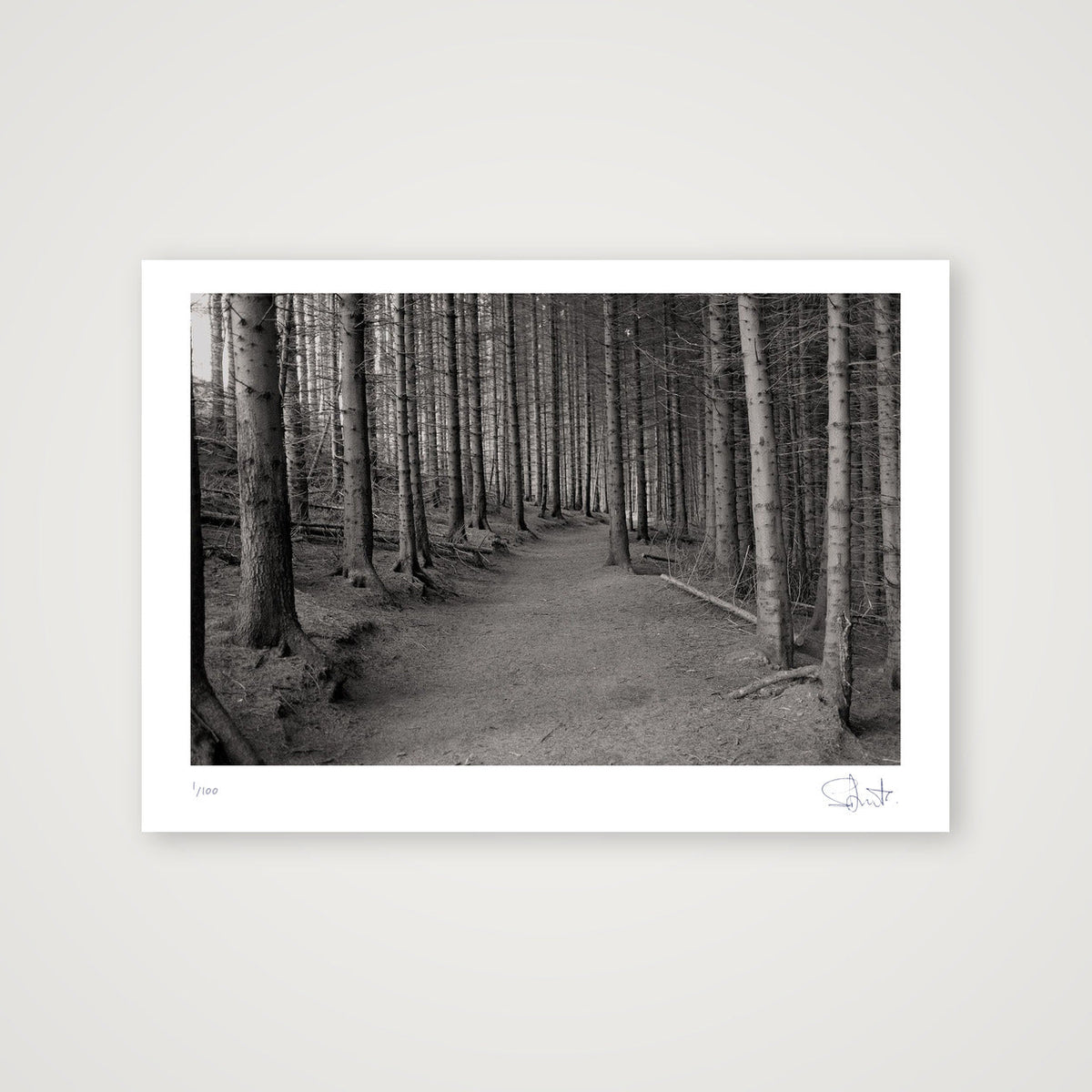 Woods. Yorkshire, 2020 — A4 (30×21cm, 12×8") Print only