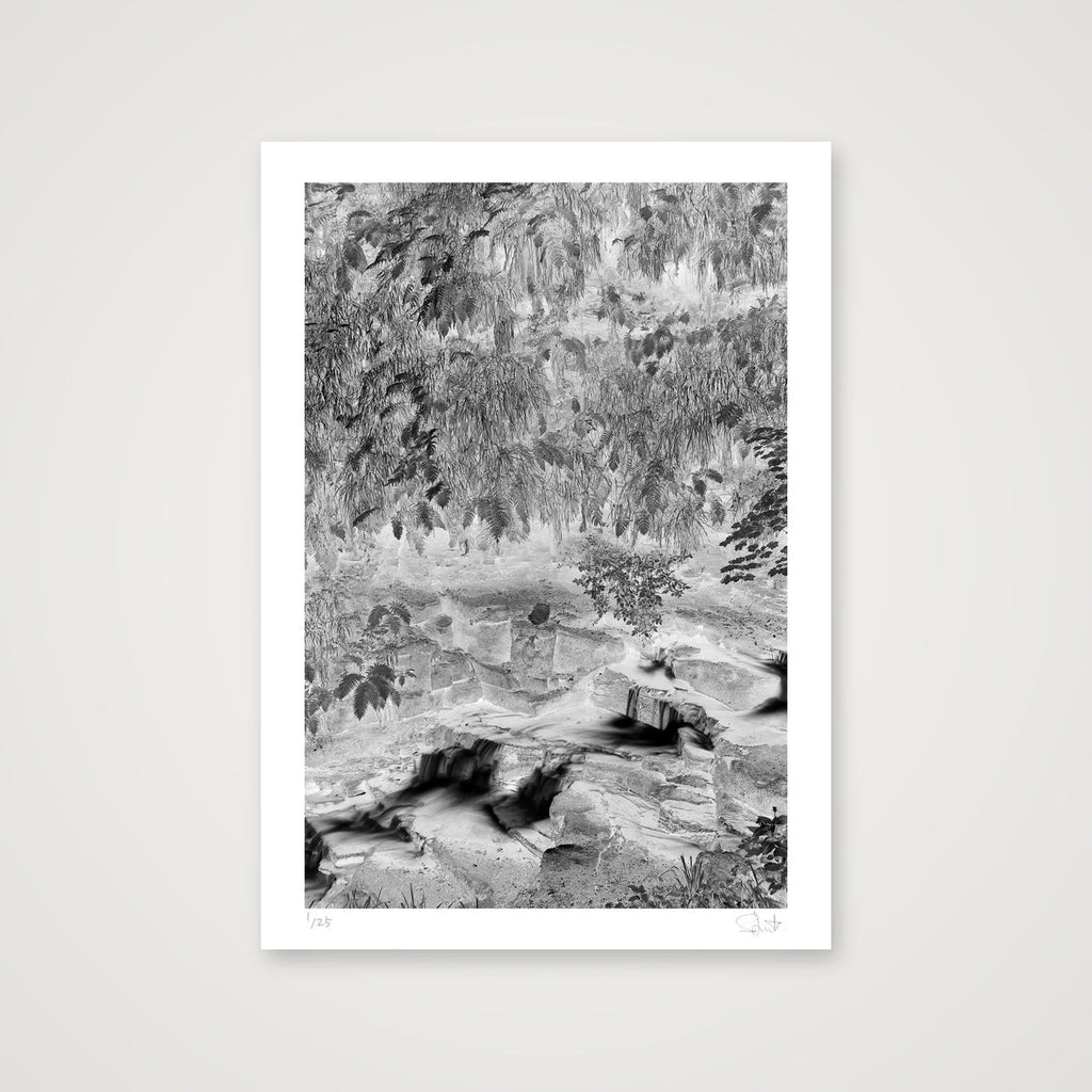 Colden Beck negative — A4 (21×30cm, 8×12") Print only