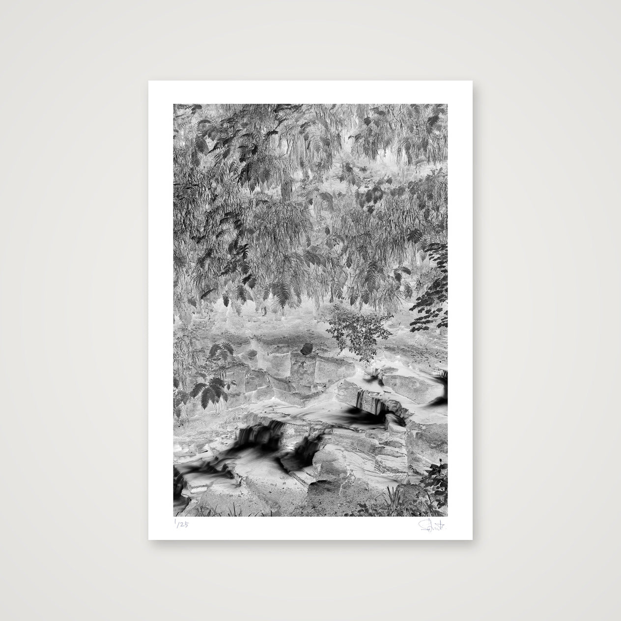 Colden Beck negative — A4 (21×30cm, 8×12") Print only